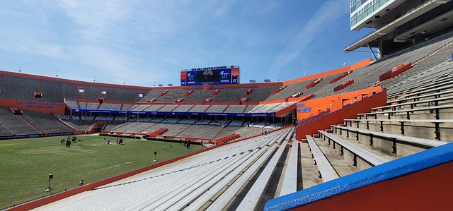 心理因素 心理因素